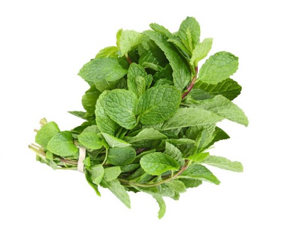 Mint