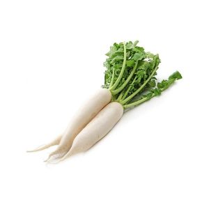 Moli (White Radish)