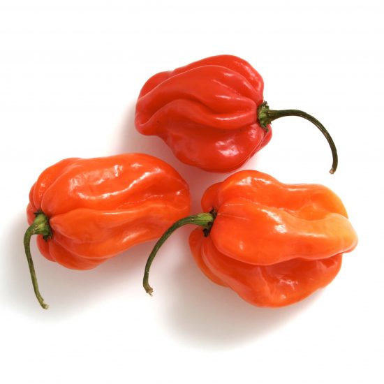 Scotch Bonnet Chilli 100g